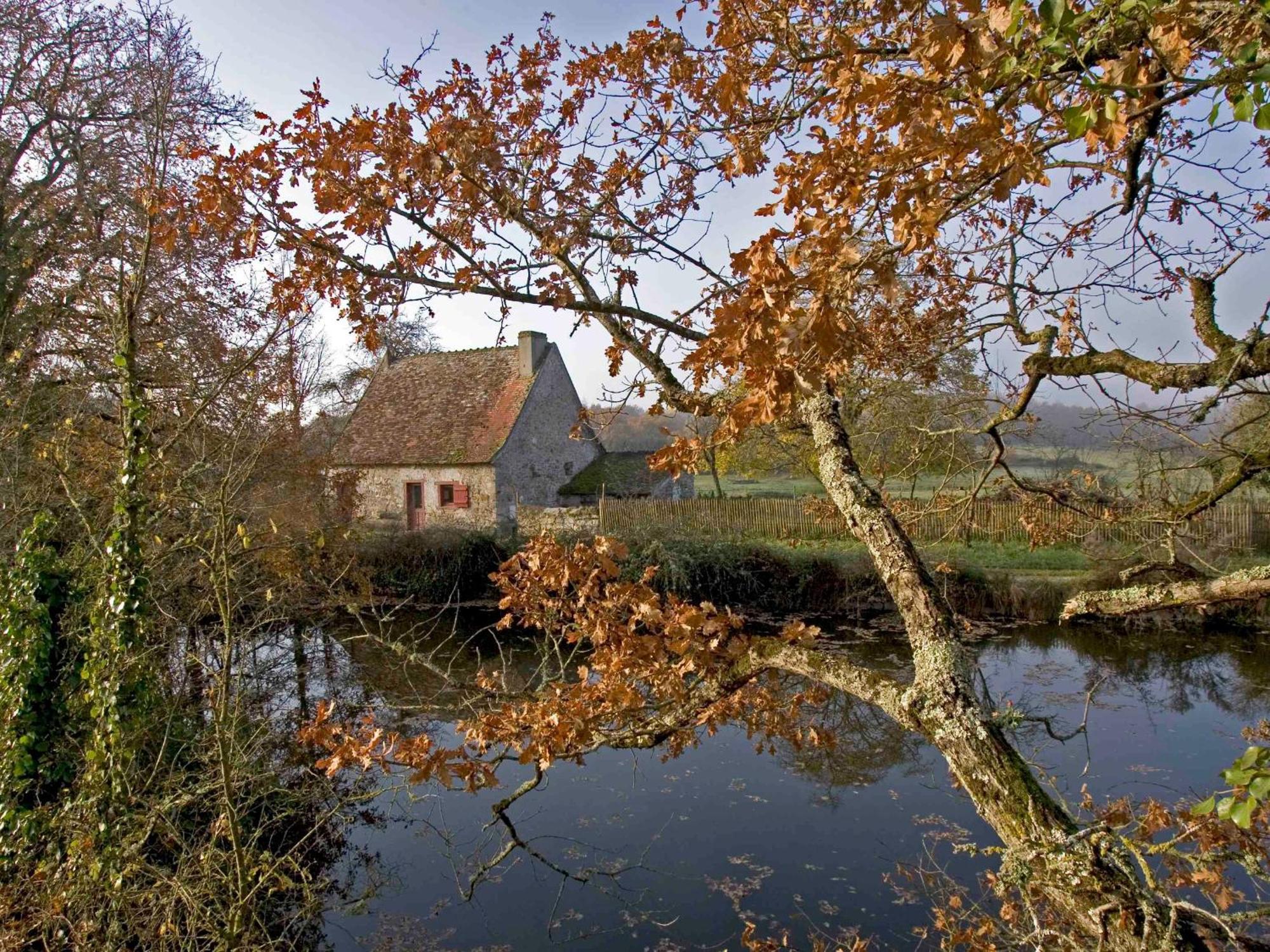 Sejour Nature Au Coeur Du Parc De La Brenne: Gite 4 Chambres, Jardin Et Terrasse, Proche De Rosnay - Fr-1-591-141 Εξωτερικό φωτογραφία